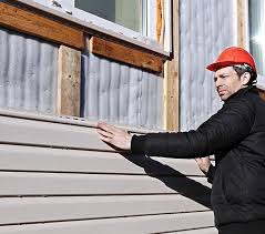 Best Siding Painting and Refinishing  in Seven Mile, AZ